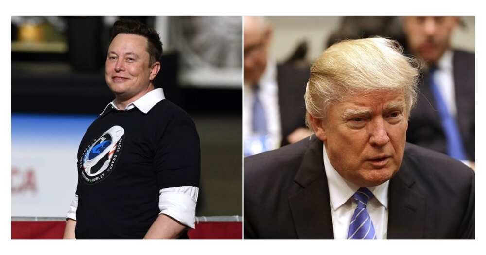 Elon Musk, Twitter, Donald Trump