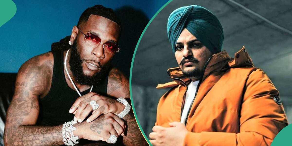 Punjabi Stars in Hollywood | Singer, Celebrities