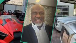 “My babes”: Dino Melaye flaunts close to 20 luxury cars in his garage, Nigerians question him