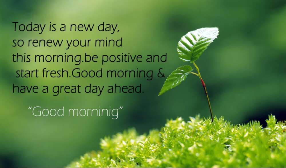 Sweet morning text for a friend Sweet morning text for a friend