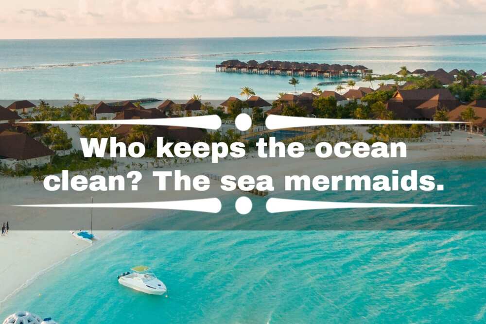 funny beach puns funny beach puns