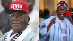 Major Boost for Atiku as Shema’s PDP faction flags off campaign for former VP in top northern state