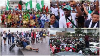 'Akwa Ibom is colourful, E choke for Lagos,' Nigerians react as Obidients take over streets in 5 states