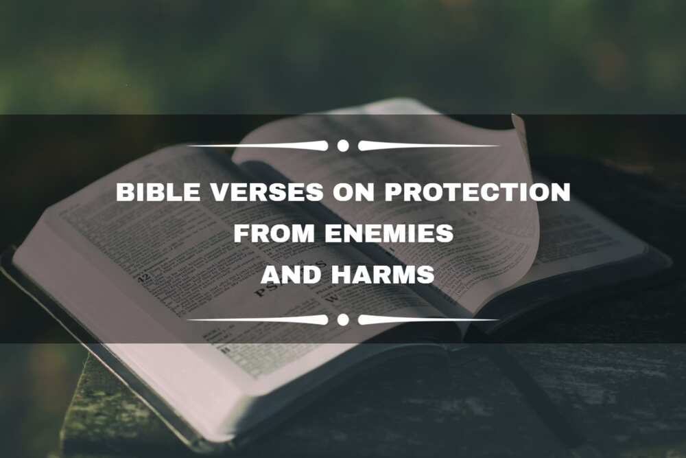 50+ Bible verses on protection from enemies and harms to know - Legit.ng