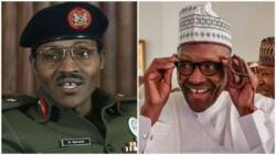 3 major 1985 events that are repeating itself in Buhari's present administration