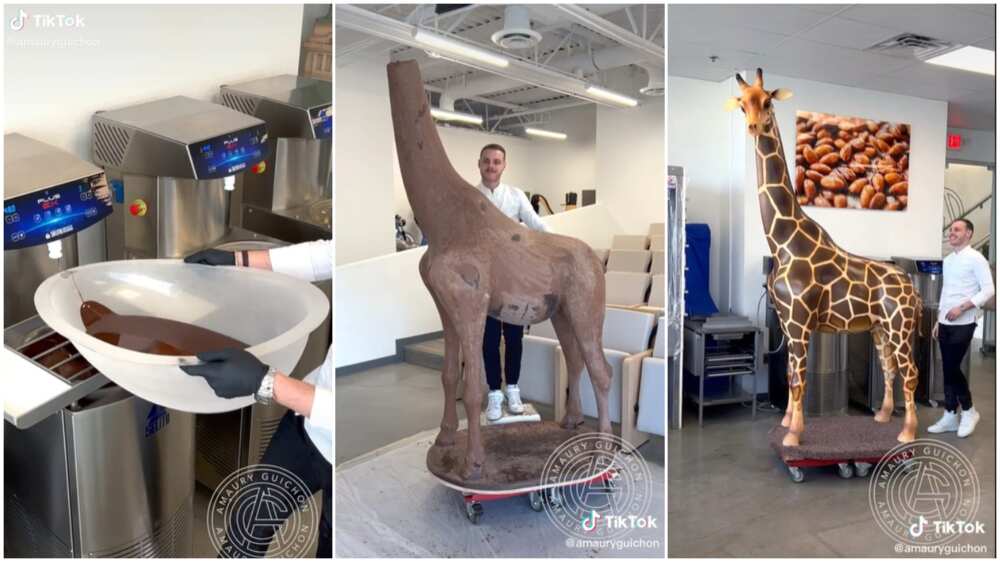 The man said that food art is 8.3ft tall. The man said that food art is 8.3ft tall.