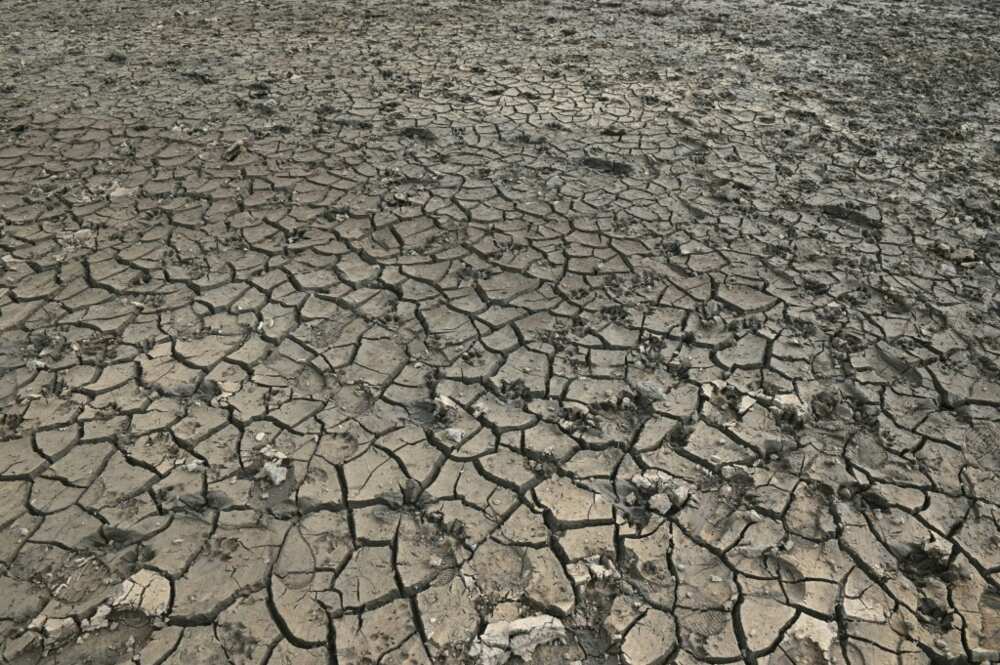European Commission researchers say nearly half of the EU's land is under threat from drought European Commission researchers say nearly half of the EU's land is under threat from drought