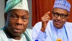 Matasan Arewa ga Obasanjo: Kai dai ba ka da bakin sukar gwamnatin shugaba Buhari