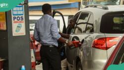 Lagos, Oyo lead list of cheapest states to buy petrol in Nigeria as marketers give new fuel price