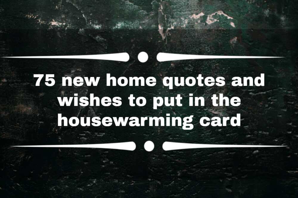 New home quotes