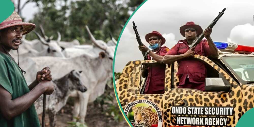 Herdsman clash with Amotekun forces in Ondo state