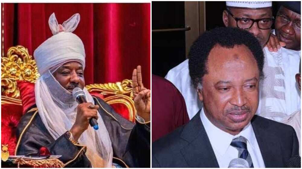 Kano emir: Shehu Sani gives Sanusi key advice after dethronement