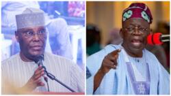 Nigeria 2023 presidency: Tinubu floors Atiku, Obi to win Niger