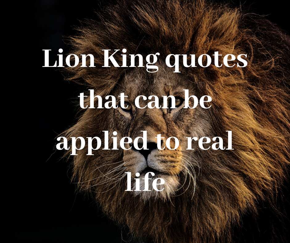 What is the famous line from The Lion King?