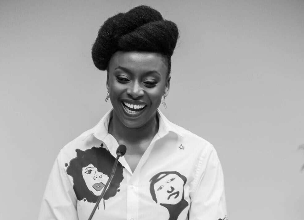 Writer, Chimamanda Ngozi Adichie, social media, USA