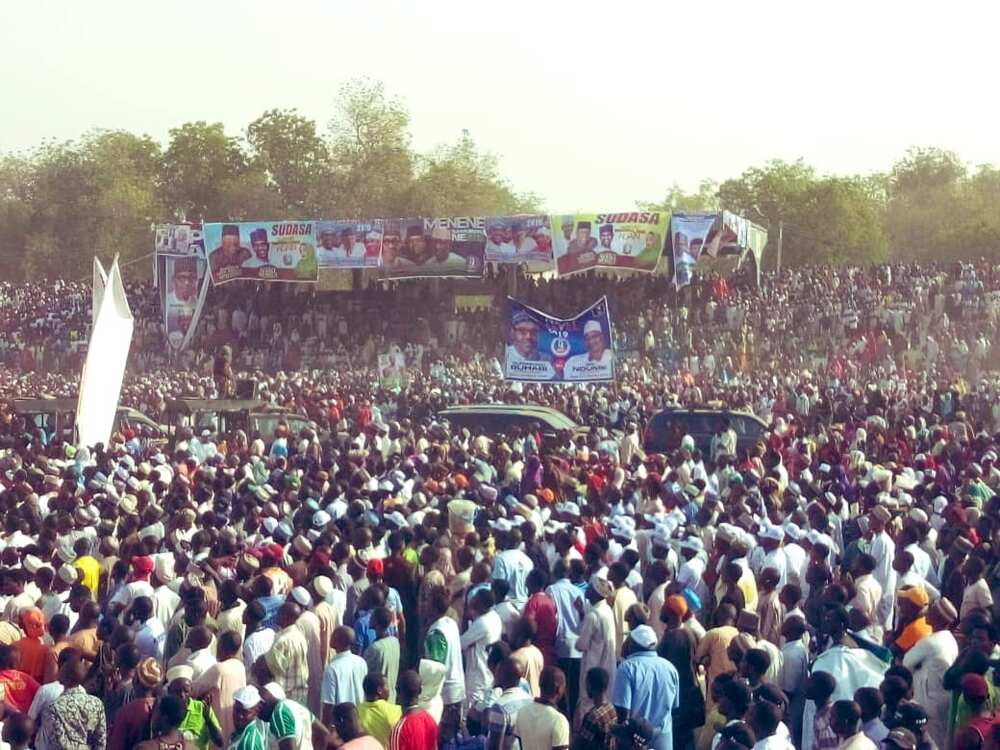 Kamfen: Hotunan yadda al'ummar Adamawa suka fito tarbar Buhari