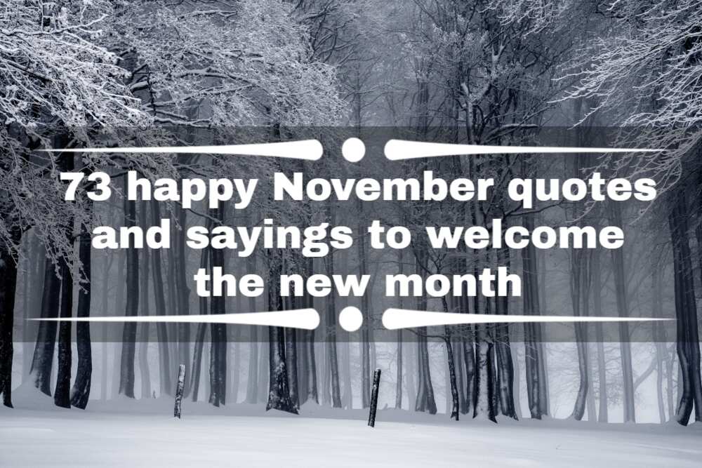 73 happy November quotes and sayings to welcome the new month 