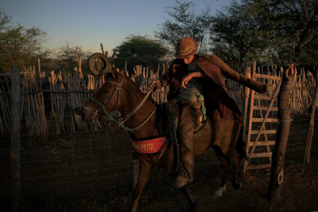 In Lula's home state, Brazilian rodeo riders lean left