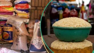 Rice sellers announce changes as data shows new price in 2 months