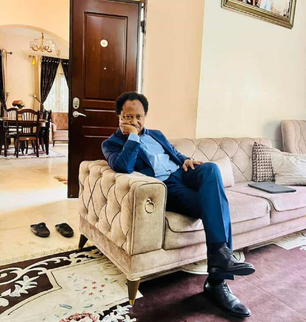 Shehu Sani