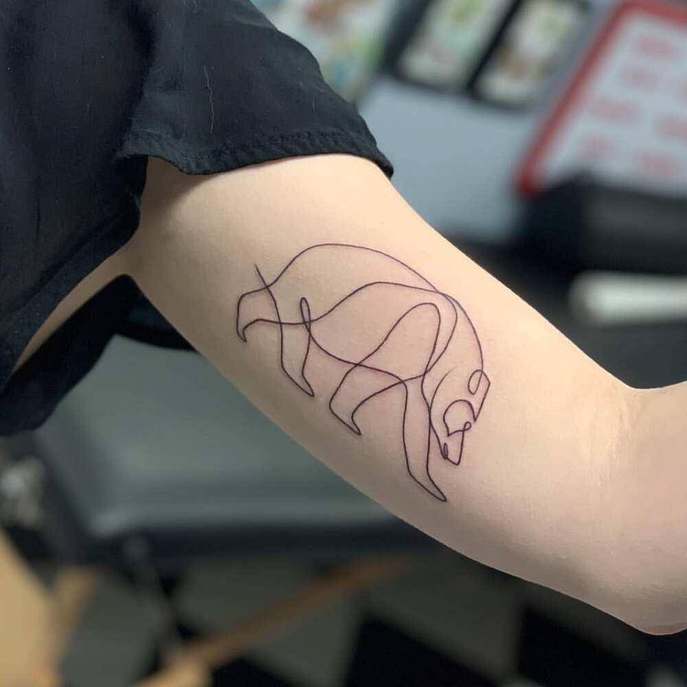 bear outline tattoo