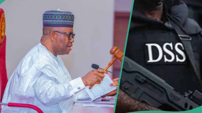 Drama as DSS storms national assembly, details emerge