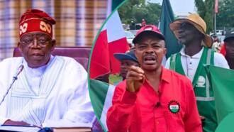 Minimum wage: NLC told to declare nationwide strike, actual amount Tinubu should pay disclosed