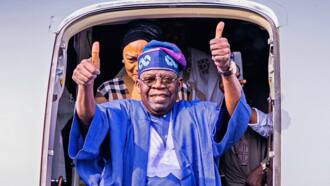 List of 3 key appointments Tinubu is expected to make immediately after inauguration and those he may appoint
