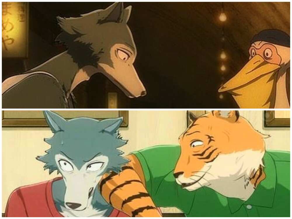 Les personnages de Beastars