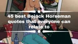 45 best BoJack Horseman quotes that everyone can relate to