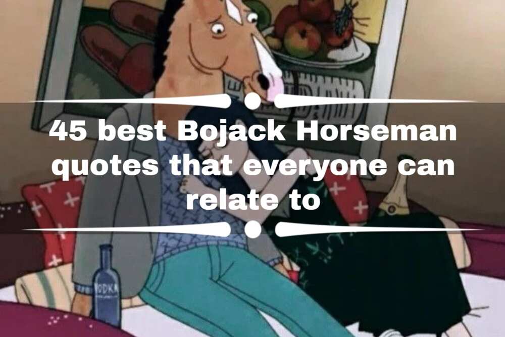 Best BoJack Horseman quotes