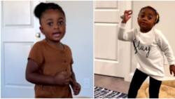 "My name is Van Van": Meet cute 4-year-old rapper taking over the internet with dope bars and lyrics