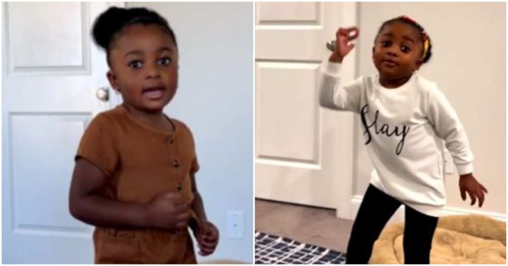 Little internet rap star Van Van Little internet rap star Van Van