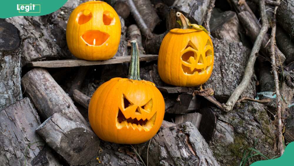 Three carved Halloween pumpkins on wooden background