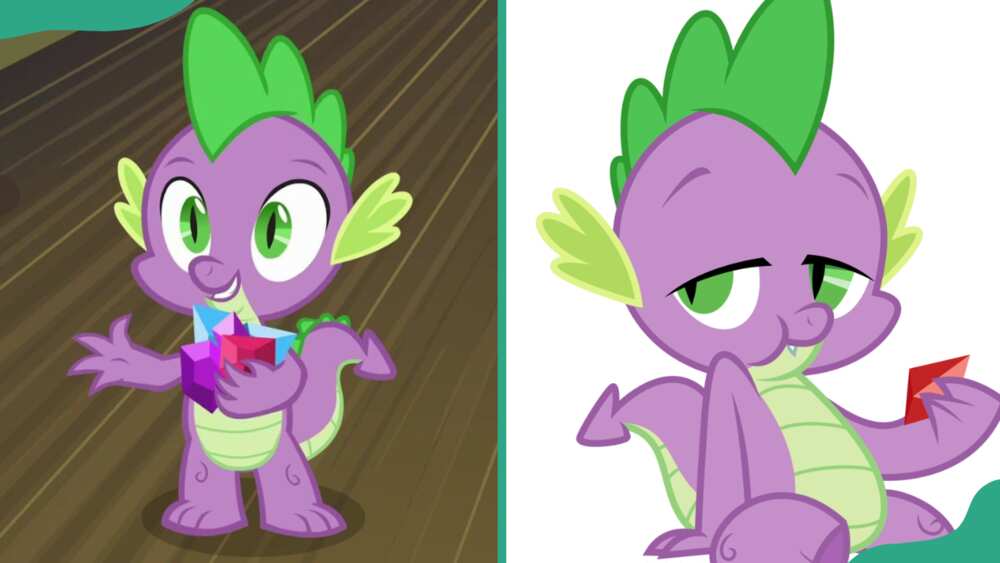 Spike the Dragon from My Little Pony