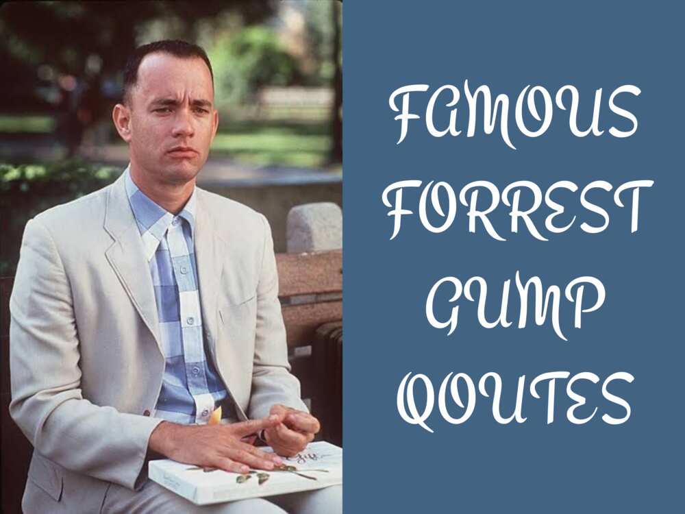 15 famous Forrest Gump quotes to get you through a tough day - Legit.ng