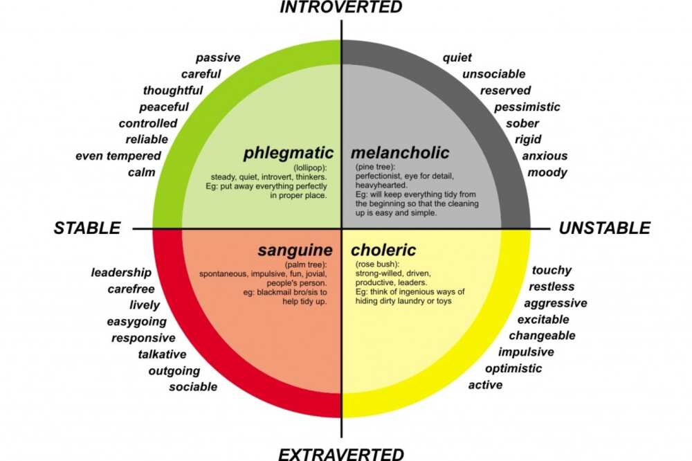 Temperament types