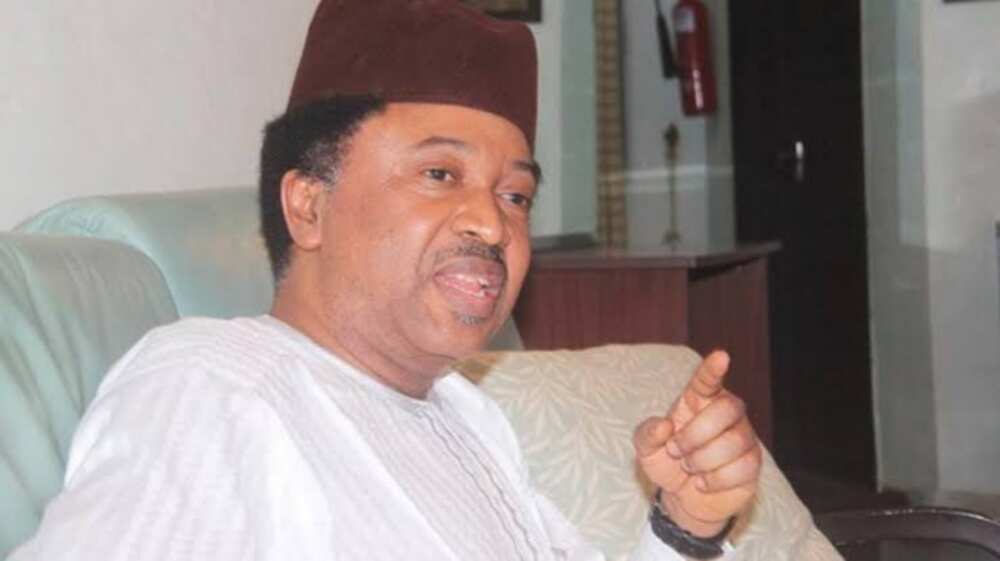 Shehu Sani ya caccaki mulkin APC a Kaduna Shehu Sani ya caccaki mulkin APC a Kaduna