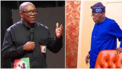 Peter Obi reacts as President Tinubu offers appointment slots to Labour Party, PDP governors