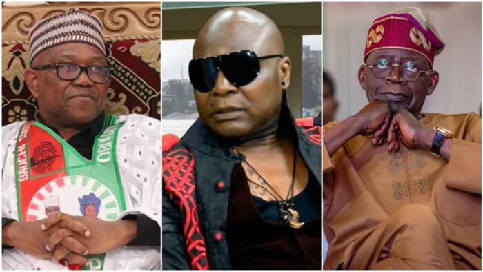 Can Peter Obi defeat Bola Tinubu in court? Charly Boy speaks on what may happen