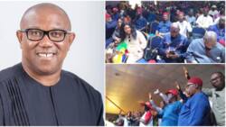 2023: Soludo, APGA in tight corner as LP inaugurates campaign council in Anambra, reveals main target