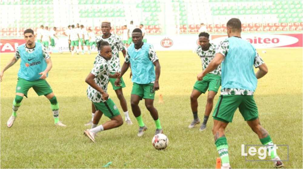 Squirrels of Benin coach Michel Dussuyer sends strong warning to Nigeria’s Super Eagles