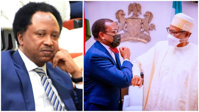 Don't deceive yourself: Shehu Sani sends strong warning to AfDB president Adesina over presidential race