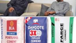 Dangote, other cement producers make over N156.55bn Profit from cement sales despite high production cost