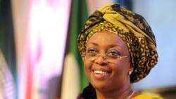 EFCC gives update on Diezani’s extradition after former minister reportedly acquired Dominica's citizenship, got big appointment