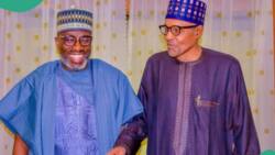 "What are you cooking?" Atiku’s prominent ally visits Buhari in Daura, photos emerge