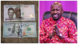 "2 heads Still Better Than 1?," Apostle Suleman Drags Naira in The Mud Over Dollar Exchange Rate