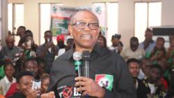 2023 presidency: Peter Obi finally reveals what he will do after losing to Tinubu