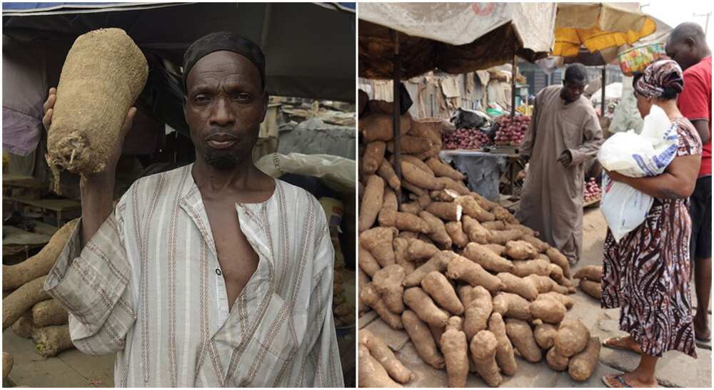 Photos of a yam market.