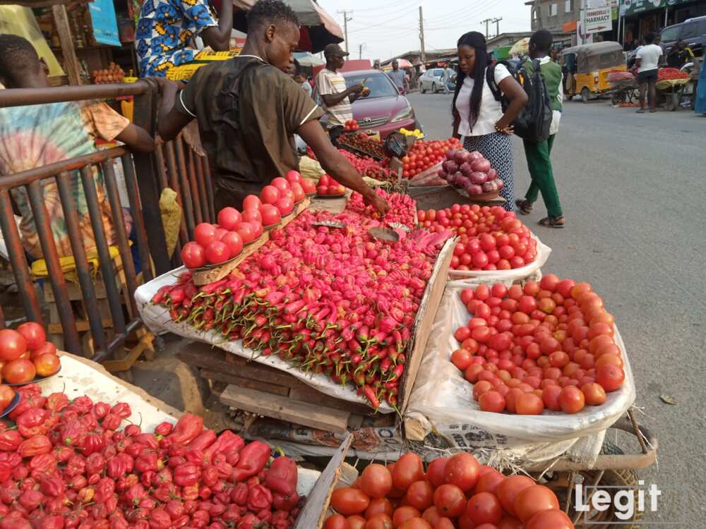 Legit.ng Weekly Price Check: Lagos Trader Gives 1 Major Reason He Won’t Vote Atiku, Tinubu